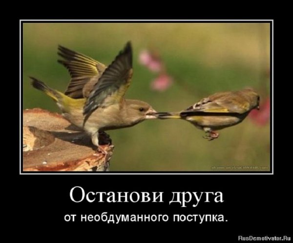 Останови друга