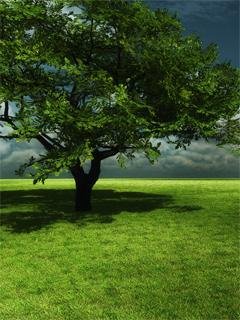 GreenNature