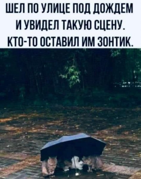 FB IMG 1774485434623