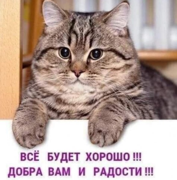 file_98704135