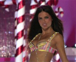 b0163ff630a8362fc207557404dc3