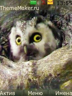 Hello there (inferno2015)