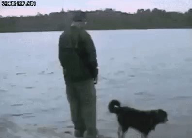 юмор 205501