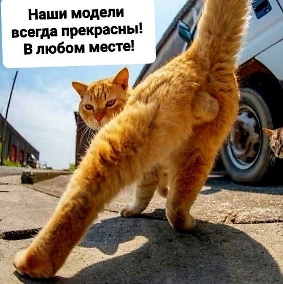 ,