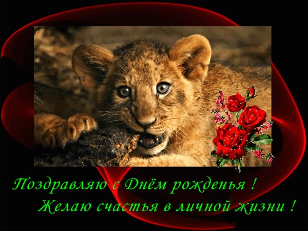 file_72350861