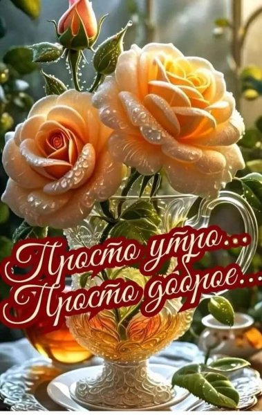 FB IMG 1715721950071