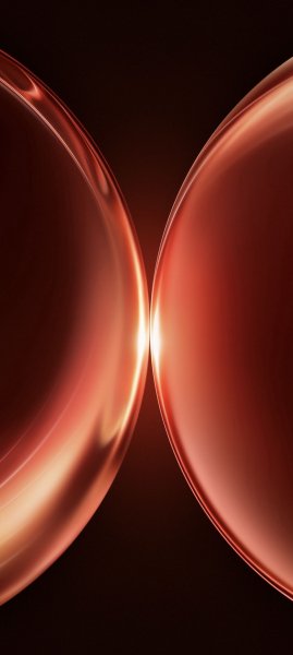 adapted 1080x2408 1773332265