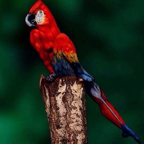 getImage (83)