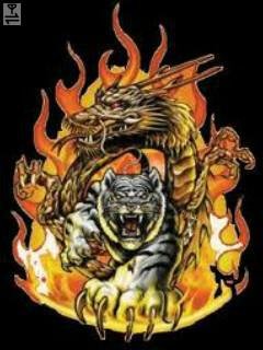 dragon &amp; tigr