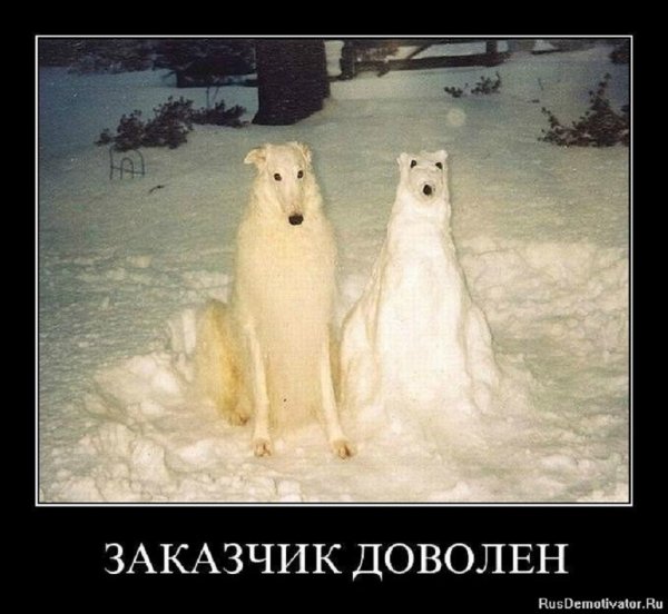 Заказчик доволен