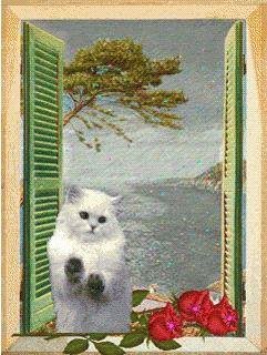 CHto za (havafara).nth