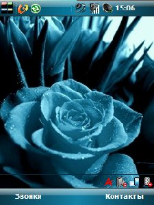 roza 3