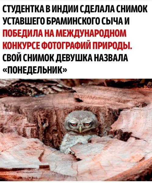 FB IMG 1775241977107