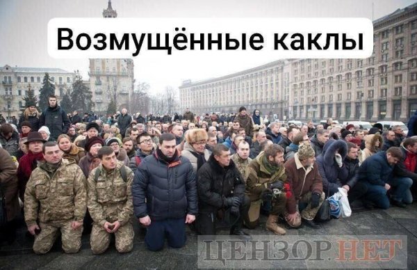 IMG 20260207 030037 694