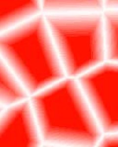 cells