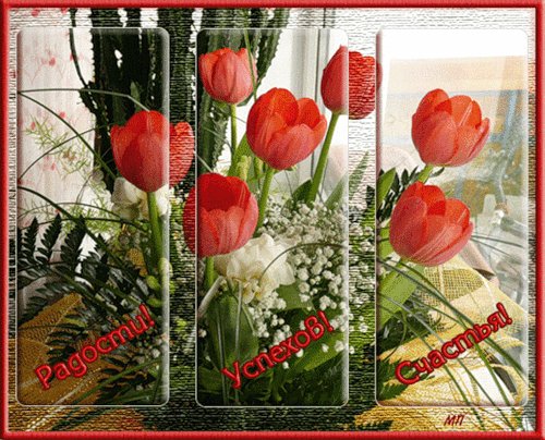 Uspekhov radosti schastya