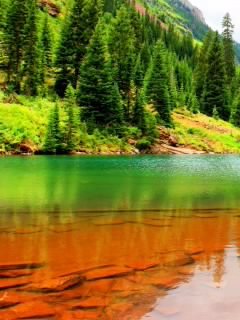 priroda reki ozera skaly gory les dno co 953- 002