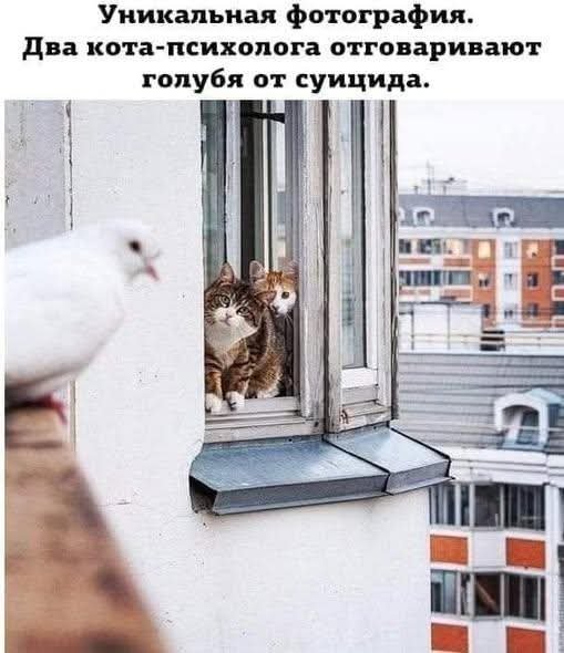 FB IMG 1777226679992