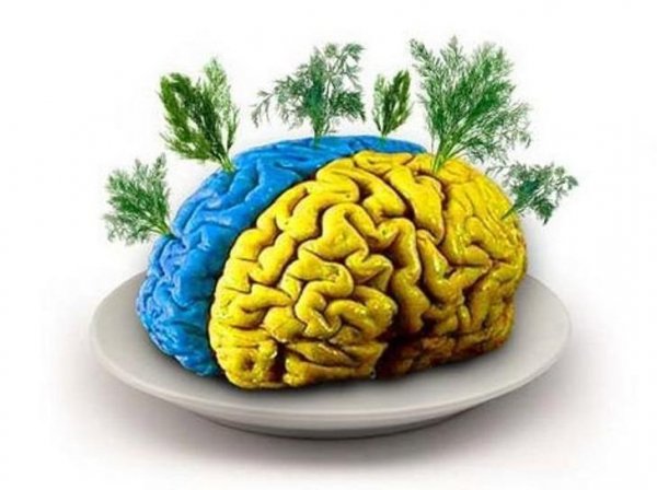 Dzhigurda - Mat peremat