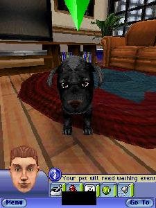 sims2 pets N-Gage2