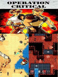 OperationCriticalHack