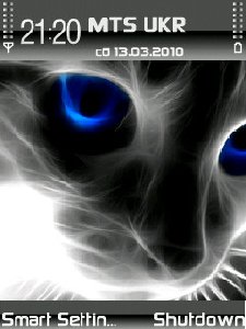 Mystic cat