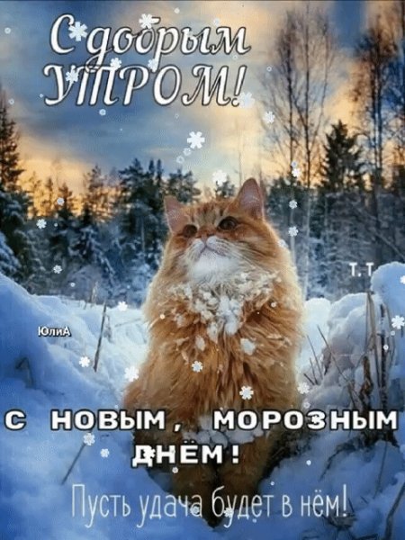 GIF-4f9377ca99034595a284d017dda78d82