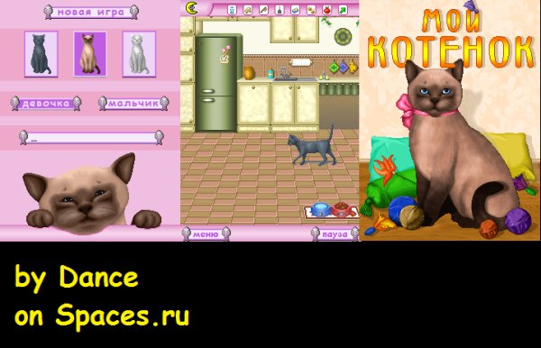 Моё котёнок