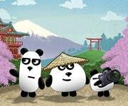 3 Pandas In Japan