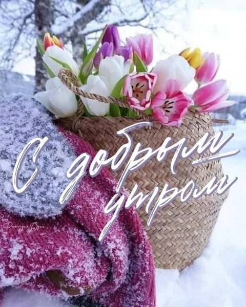 IMG 20260226 101720 793