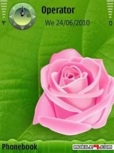 pinkrose z2eumyjo