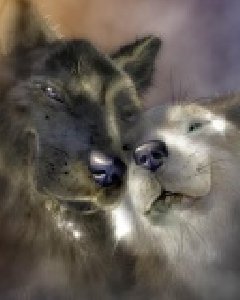 Volves love by VINECHKA