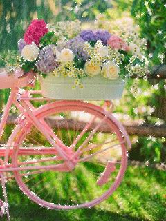 file_64293438