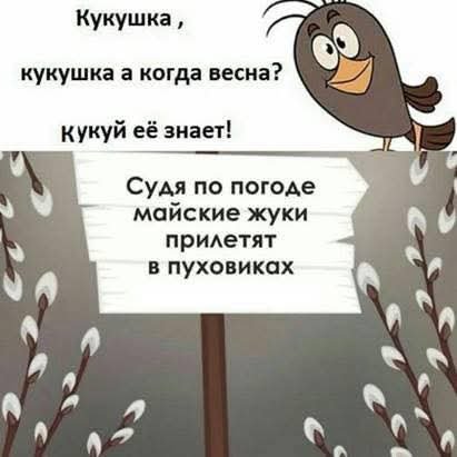 FB IMG 1775981816917