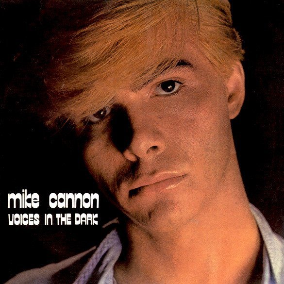Mike Cannon - Voices In The Dark