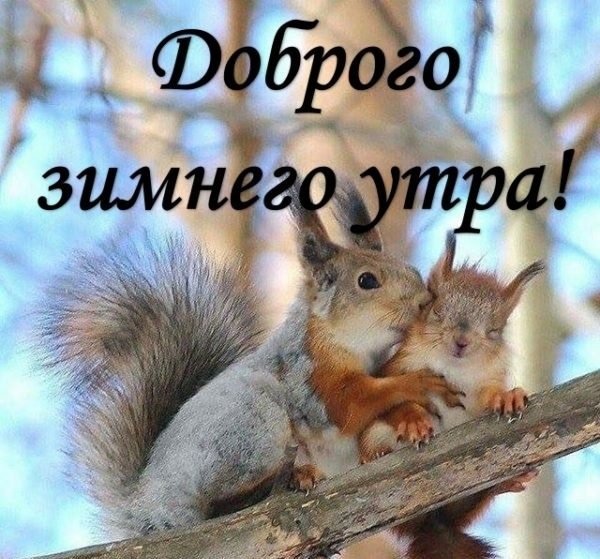 Доброго зимнего утра!