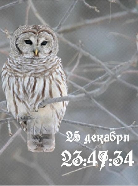 Сова