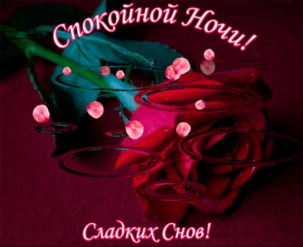 А. Сладких снов. Роза.