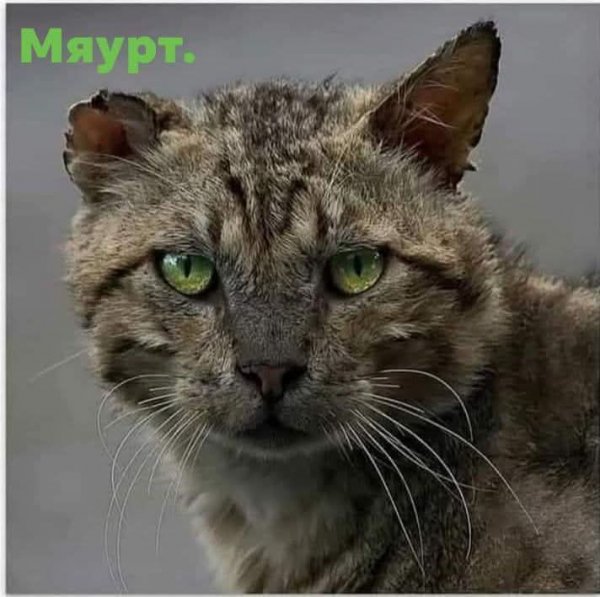 FB IMG 1774420790751