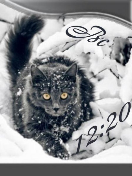 Котенок на прогулке (Carlotta)