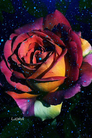 file_68921802