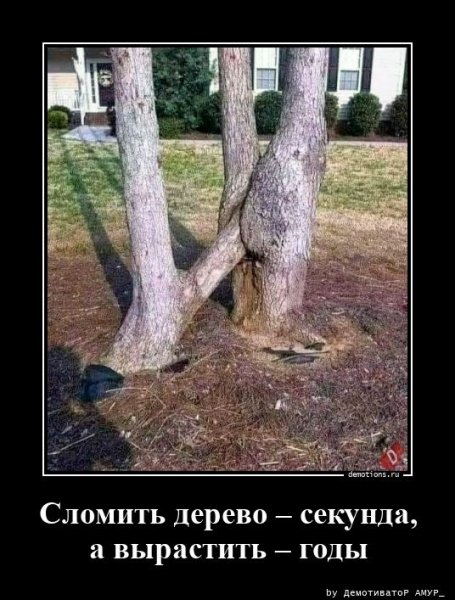 Сломить дерево - секунда, вырастить - годы