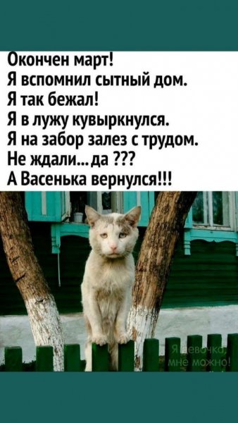 ))