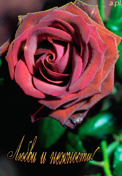 0 a4913 dae25cc4 XXL