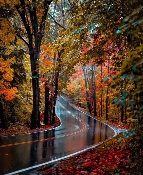 Screenshot 2022-09-01-19-18-29-97