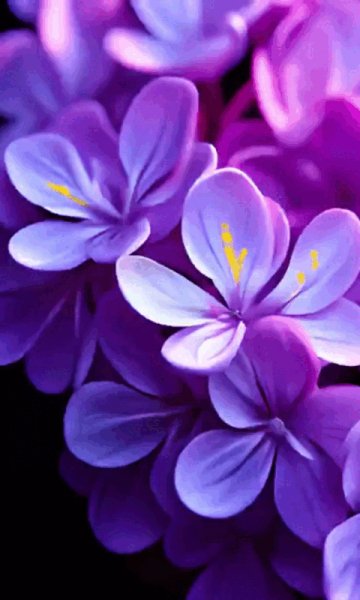 Анимация,сирень.3