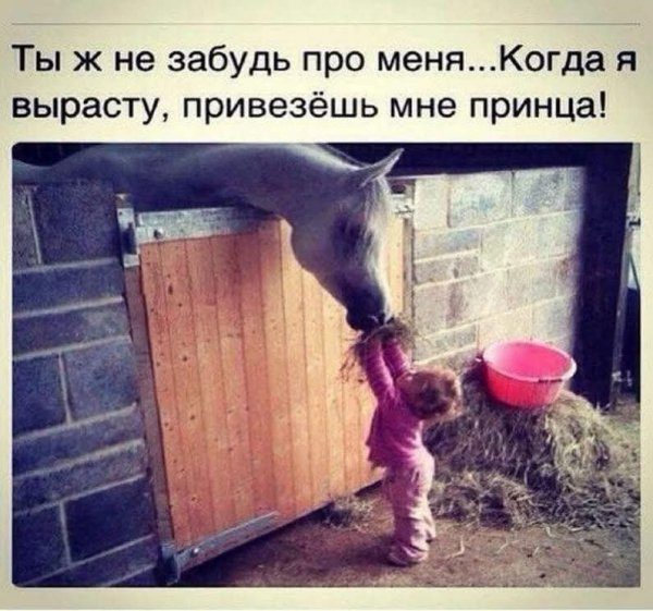 FB IMG 1774528050812