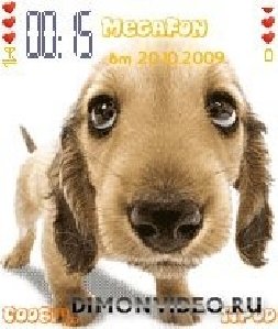 dog by uslanka in 2010200991326 uploader