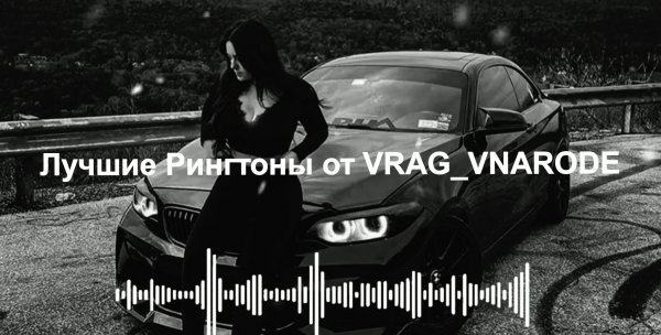 Dxrk - RAVE (favring.com)