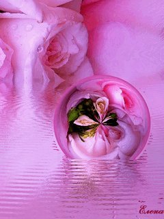 file_1406956